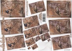 Vgel - Le Suh 630186